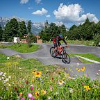 A mountain biker rides through a scenic trail in Wilder Kaiser, surrounded by wildflowers and trees, with mountains in the background under a blue sky.