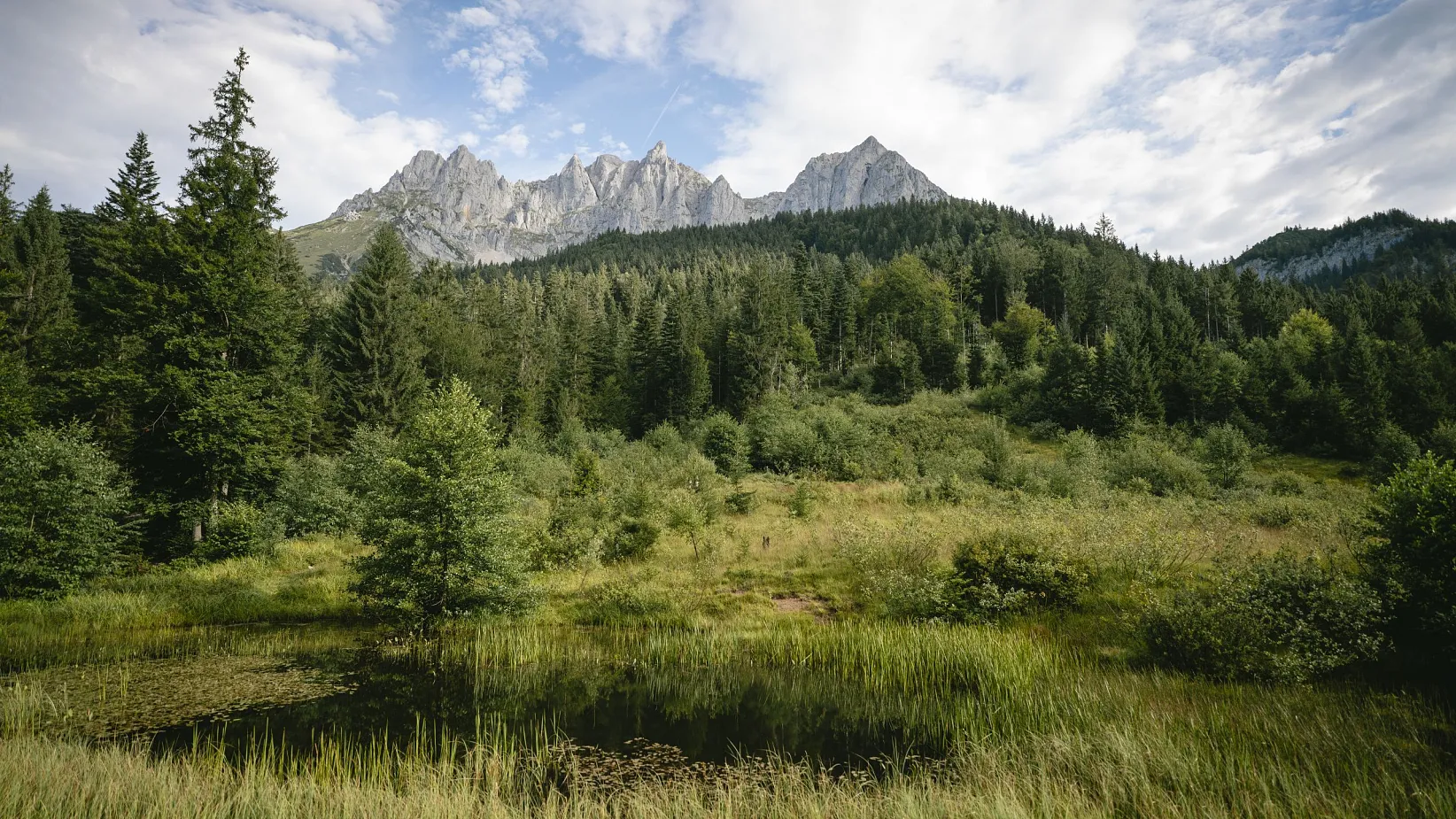kraftplatz-moor-going-sommer2023-wilderkaiser-foto-stefanleitner-1
