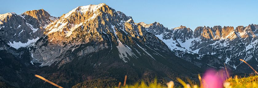Schneebedecktes Bergmassiv unter blauem Himmel, mit grünem Gras und Blumen im Vordergrund. Typische alpiner Landschaft an einem sonnigen Tag.