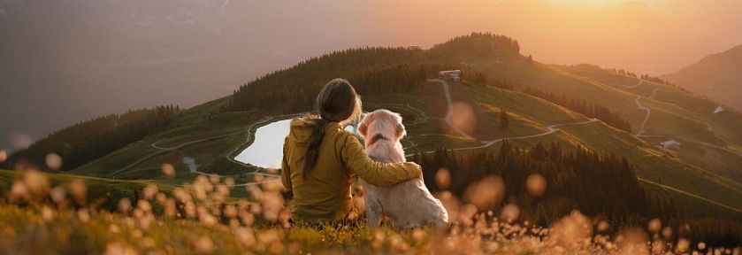 Frau sitzt mit Hund in Wiese und beobachtet Sonnenaufgang