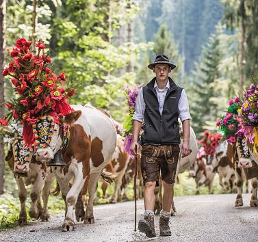 Almabtrieb in Söll