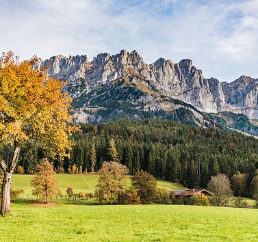 'Autumn packages