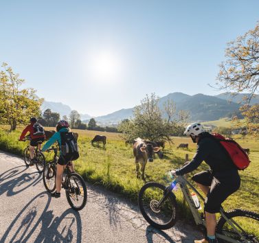 Radtouren & Bike-Trainings