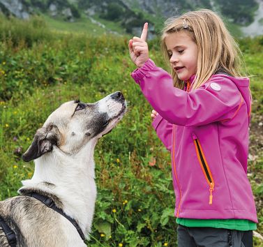 Vorschriften laut Hundehaltungsgesetz