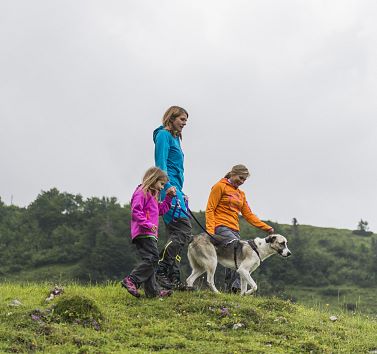 Tipps & Regeln für Hunde