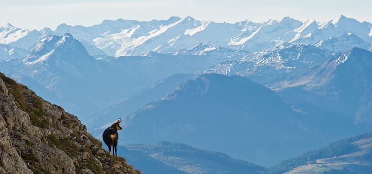 Naturschutz am Wilden Kaiser