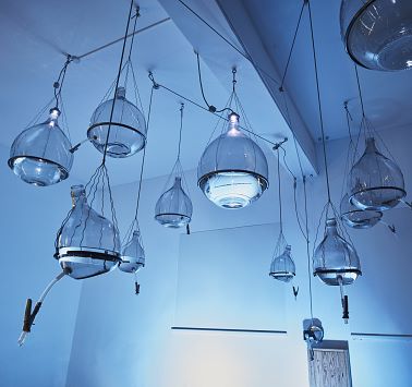 Blaues Wunder (blauw wonder)