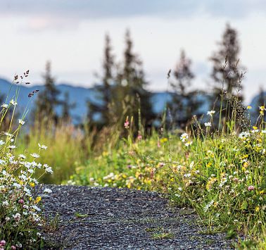 Currently closed tours