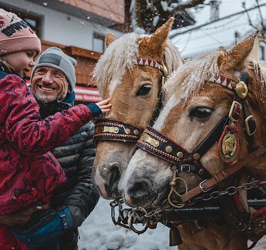 Rit met de paardenkoets