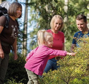 Familie wandeling door het moerasgebied