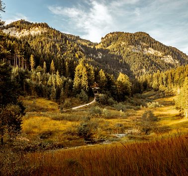 Ramsar-natuurreservaat