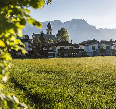 Regional produce shops in Söll