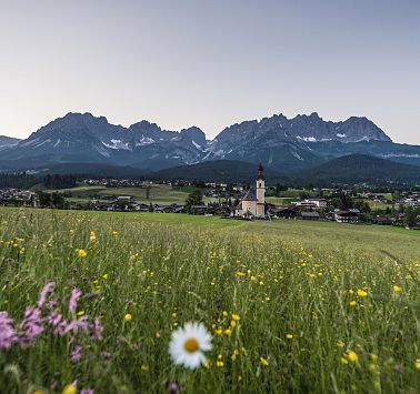 Regional produce shops in Going