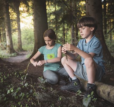 Spielen im Wald