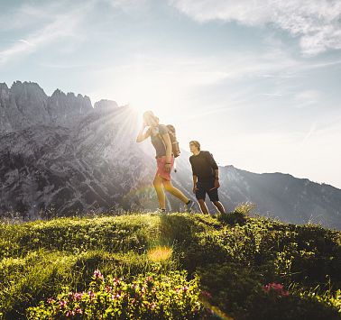 Wandelmedaille Kaiserkrone