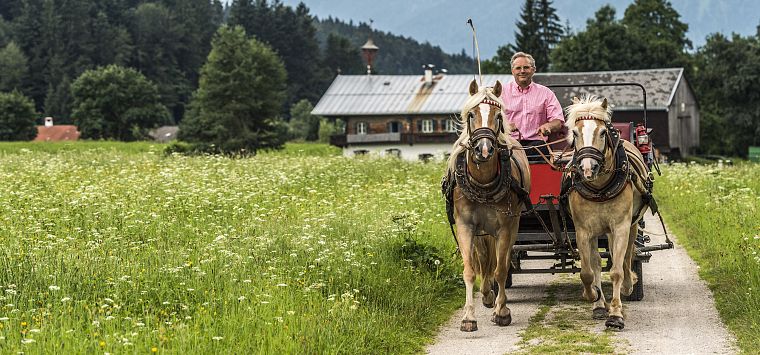 Pferdekutschenfahrt