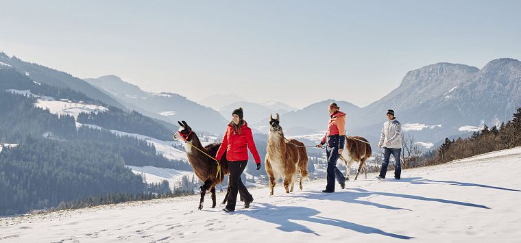 Book an activity programme