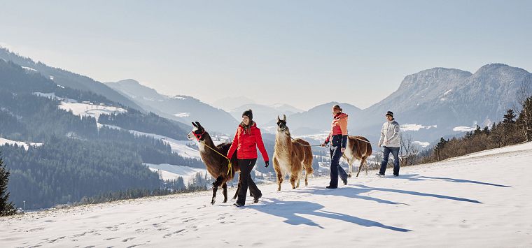 Aktivprogramm buchen