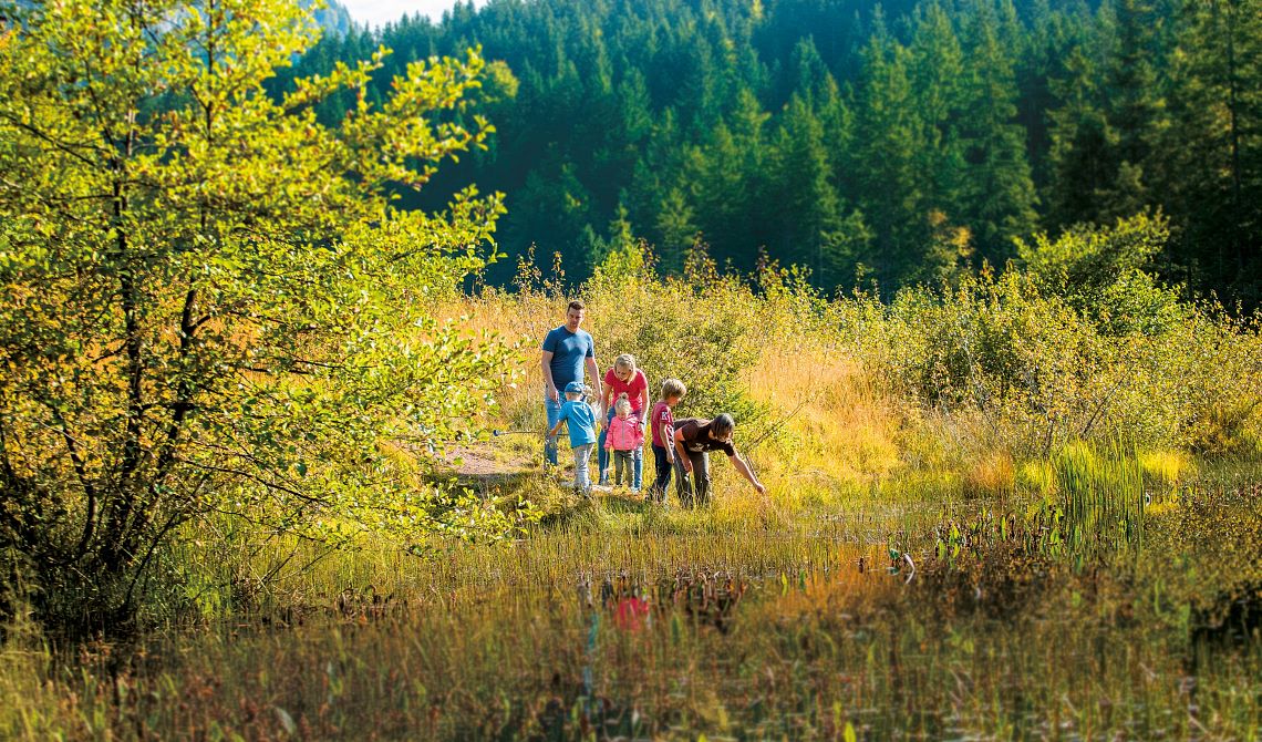 Moorwanderung in Going am Wilden Kaiser