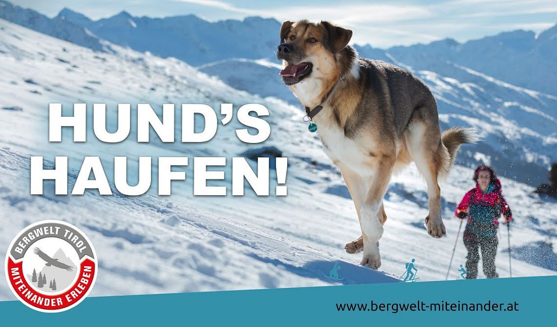 Pistentouren: Hund's Haufen! Bergwelt Tirol - Miteinander Erleben