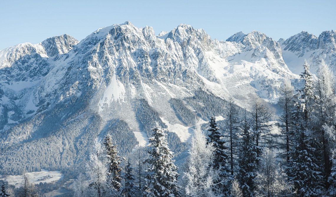 Welcher Skifahr-Typ bist Du?