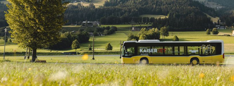 NatureTrip: excursion planner
