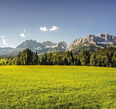 Panorama of a meadow and a mountain range
