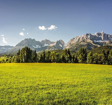 Panorama van een weide en een bergketen